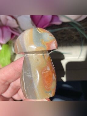 Polychrome Jasper Mushroom 2